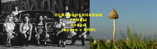 герыч Карпинск