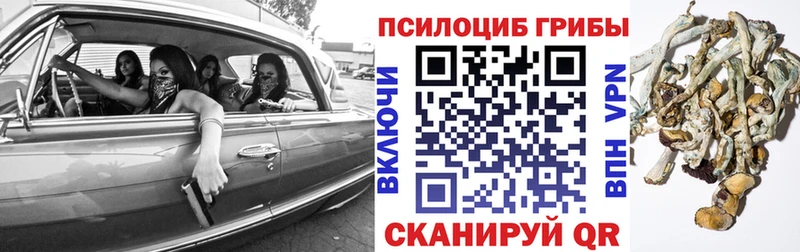 Галлюциногенные грибы GOLDEN TEACHER  Невинномысск 